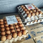 A display of eggs for sale, with prices and descriptions on the signs.