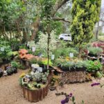 A garden with a variety of plants, including flowers and trees, is displayed in a garden shop.