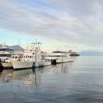 A group of boats are docked in the water, including a large white boat.