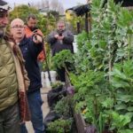 A group of men are standing in a garden, pointing at the plants.