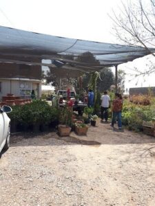A group of people are gathered around a truck filled with flowers, possibly at a nursery or a market.