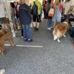 A group of people are gathered in a crowded area, with a large brown dog standing in the middle of the crowd.
