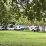 A group of people are gathered in a park, under a tree, and in front of a white van.