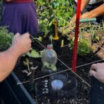 A group of people are working together to create a garden using recycled materials.