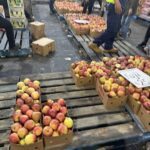 A large display of apples is set up for sale at a market.