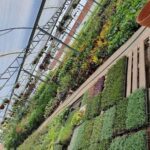 A large greenhouse filled with a variety of plants, including grass, flowers, and bushes.