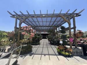 A large outdoor plant nursery with a variety of plants and flowers.