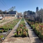 A large variety of flowers are displayed in pots, creating a beautiful and colorful scene.