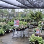 A large variety of potted plants are displayed in a garden shop, with some of them being sold for $20.