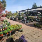 A large variety of potted plants are displayed outside a store, creating a vibrant and colorful scene.