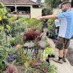 A man is pointing at a potted plant, possibly explaining the plant's features or care instructions.