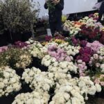 A man is standing in front of a large display of flowers, holding a bouquet of flowers.
