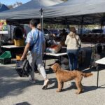 A man walks his dog past a market stand.