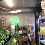 A neon green sign hangs above a collection of potted plants, including a large leaf plant.