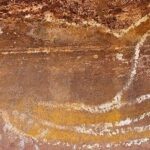 A painting of a bird on a wall.