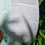 A person is holding a piece of paper with information about bamboo.