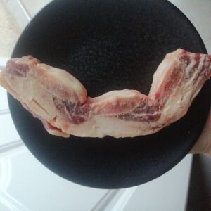 A person is holding a plate with a piece of meat on it.