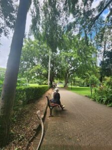 A person sits on a bench in a park, surrounded by trees and greenery.