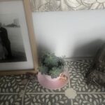 A pink flower pot with a plant in it sits on a table next to a picture.