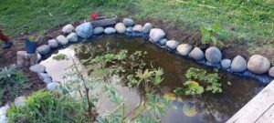 A pond with a rock wall and a small waterfall.