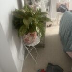 A potted plant with a floral design sits on a white table.