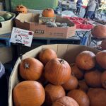 A pumpkin stand at a market with a sign that says "Halloween Pumpkins $2.00 each."