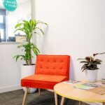 A red chair sits in front of a white wall, with a potted plant nearby.