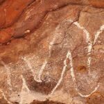 A rock with a white line on it.