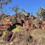 A rocky hillside with a tree and a bush on it.