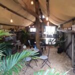 A rustic cabin with a dining table and chairs, surrounded by potted plants and hanging lights.