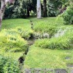 A serene garden with a small stream, surrounded by trees and greenery.
