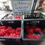 A sign advertising a sale on fresh produce sits on a table.