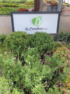 A sign for a nursery is displayed in front of a variety of plants.
