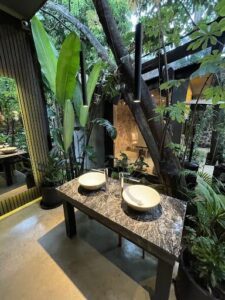 A sink in a bathroom with a tree in the background.