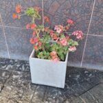 A small white pot with a pink flower in it sits on a tile floor.