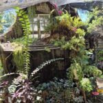 A small wooden house is surrounded by a variety of plants, including a potted plant with a purple flower.