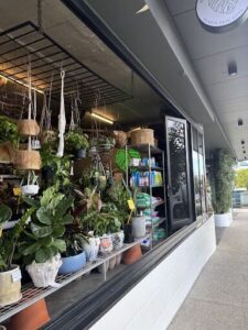 A storefront window filled with various potted plants and flowers.