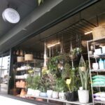 A storefront window filled with various potted plants and vases.