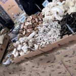 A table full of mushrooms and other vegetables.