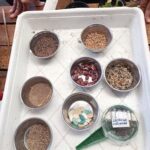 A table with various bowls containing different types of seeds and grains.