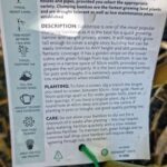 A tag on a plant with information about the plant.