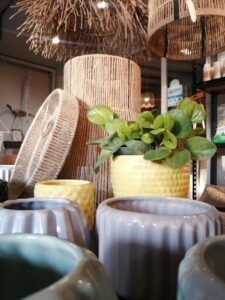 A variety of potted plants and vases are displayed in a store.