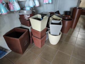 A variety of potted plants are displayed in a store, including different sizes and colors.