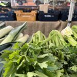 A variety of vegetables are displayed at a market, including broccoli and cabbage.