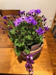 A vase of purple flowers sits on a wooden table.