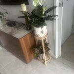 A vase with a plant in it sits on a table.