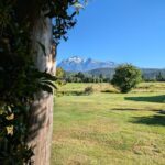 A view of a mountain range from a grassy field.