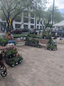 A woman sits on a bench next to a table filled with potted plants.