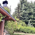 A wooden structure with a chimney and a vine growing on it.