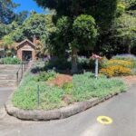 A yellow circle on the road with a sign in front of a house.